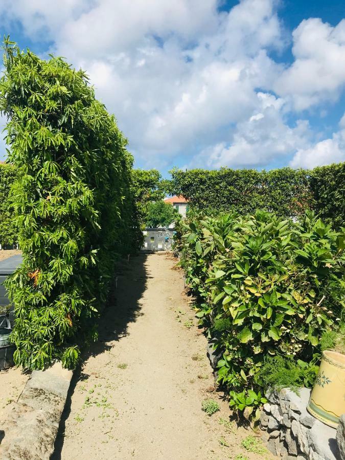 Casas Da Quinta Villa Ribeira Grande Ngoại thất bức ảnh